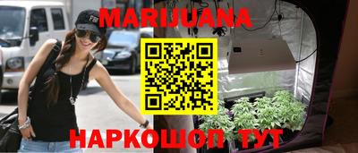 сатива Бузулук