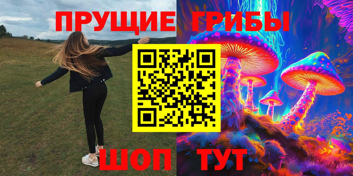 Псилоцибиновые грибы ЛСД Новоалександровск